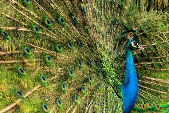 Parque Zoológico Santa Fe